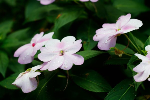 Découvrez les meilleurs architectes à nevers pour un projet sur mesure